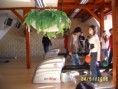 /album/turnaj-8-a-v-bowlingu/s4300289-jpg/